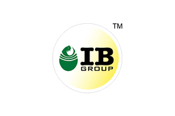 IB Group